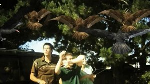 Birdemic-Trailer