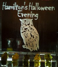 Hamiltons Halloween Evening Owl.jpg